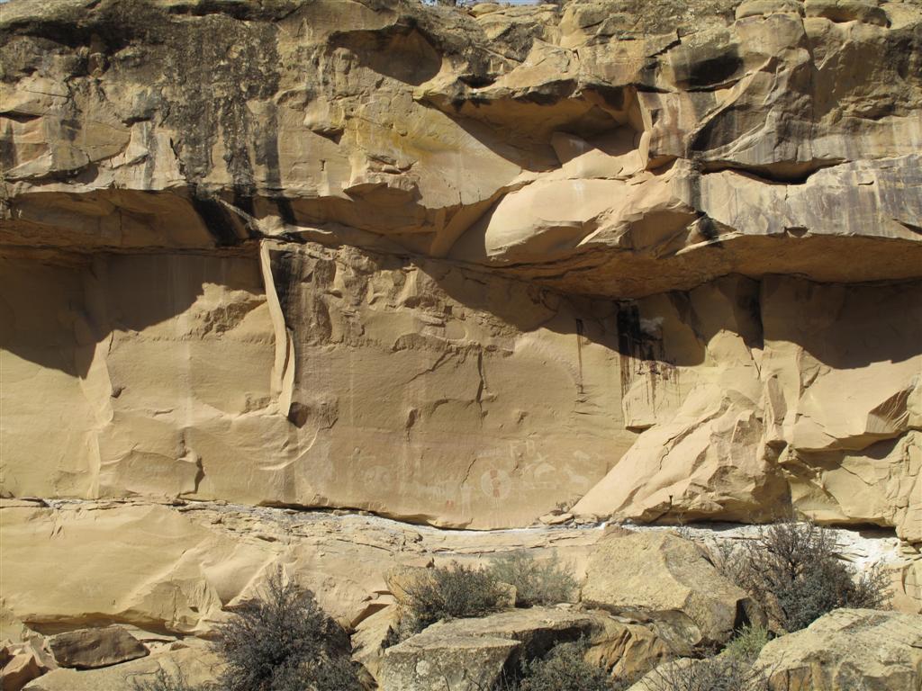 IMG_4236 (Large).JPG IMG_4236 (Large).JPG